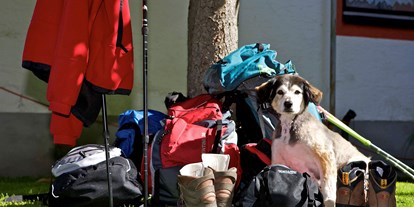Hundehotel - Patergassen - Wander Eldorado für Vierbeiner - Hotel Aloisia