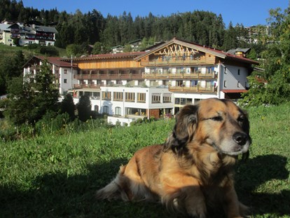 Hundehotel - Tirol - Unser Gast Rexi fühlt sich im 20.000m² großen Panoramagarten "pudelwohl" - Inntalerhof - DAS Panoramahotel