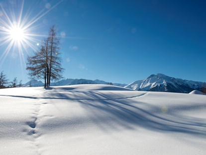 Hundehotel - St. Leonhard (Trentino-Südtirol) - Glitzernde Winteridylle genießen - auch im Winter ein Genuss mit Ihrem vierbeinigen Freund - Inntalerhof - DAS Panoramahotel