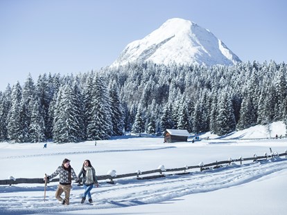 Hundehotel - Tirol - Winterwandern in der Region Seefeld Tirols Hochplateau - Inntalerhof - DAS Panoramahotel