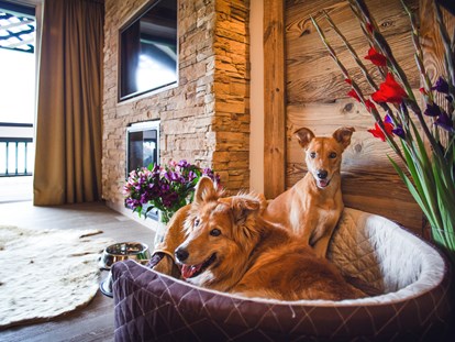 Hundehotel - Tirol - Hundeservice auf dem Zimmer - Alpin Resort Sacher