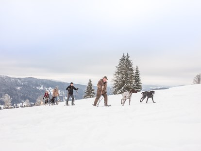 Hundehotel - Wellnessbereich - Schneeschuhwanderung mit Hund - Hunderesort Waldeck