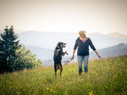 Hundehotel - Wellnessbereich - Auf der Auslaufwiese - Hunderesort Waldeck