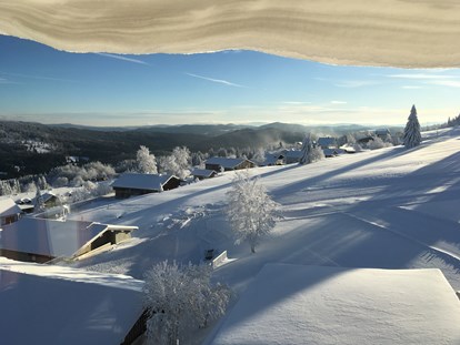 Hundehotel - Sauna - Winter-Aussicht aus unserer Turmsuite - Hunderesort Waldeck
