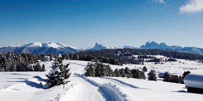 Hundehotel - St. Leonhard (Trentino-Südtirol) - Winterwandern auf der Villanderer Alm  - Sambergerhof