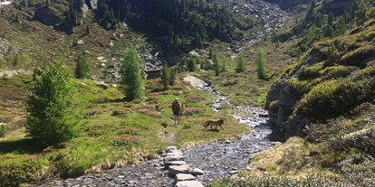 Hundehotel - Niederdorf (Trentino-Südtirol) - Wanderung im Ahrntal mit unseren Hunden - Hotel Steinhauswirt