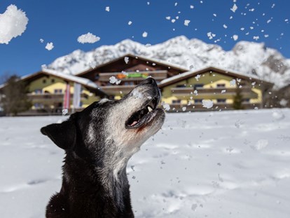 Hundehotel - Sauna - Sapß im Schnee - auch für Ihren Vierbeiner! - Almfrieden Hotel & Romantikchalet