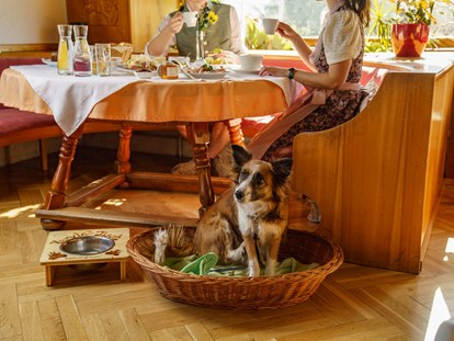 Hundehotel - Sauna - Ihr Hund ist in unserem Restaurant herzlich willkommen - Almfrieden Hotel & Romantikchalet