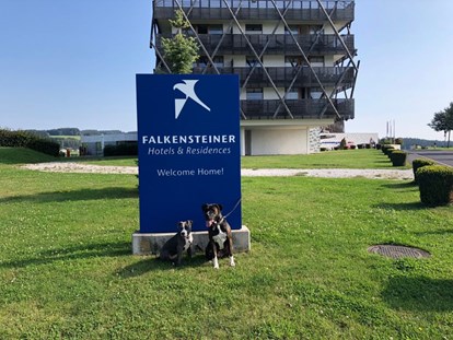 Hundehotel - Sauna - Hunde lieben das Hotel - Falkensteiner Genuss & Wohlfühlhotel Mühlviertel