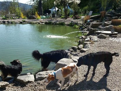Hundehotel - Wellnessbereich - Hundepark - Natur-Hunde-Hotel Bergfried
