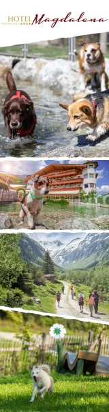Hotel Magdalena in Ried im Zillertal