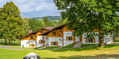 Hundehotel - Hundewiese: eingezäunt - Philippsreut - Hotelanlage Gut Feuerschwendt - Gutshotel Feuerschwendt im Bayerischen Wald