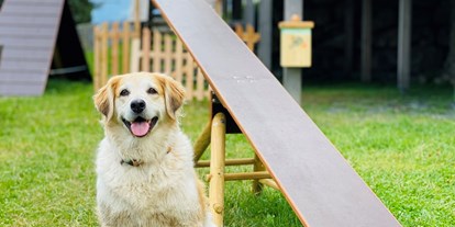 Hundehotel - Doggies: 4 Doggies - Stacey - Agility Spielplatz - Wippe - Almdorf Seinerzeit