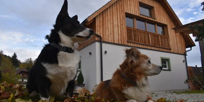 Hundehotel - Umgebungsschwerpunkt: See - Feld am See - Hotel Aloisia