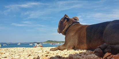 Hundehotel - Hundewiese: nicht eingezäunt - Pakostane - öffentlicher Kiesstrand - VILCAM - Urlaub am Meer mit Herz und Hund