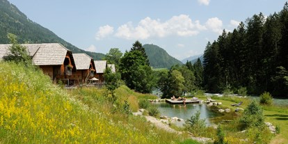 Hundehotel - Unterkunftsart: Ferienhaus - Großarl - Badeteich neben dem Wildwasserfluss  - Landgut Moserhof