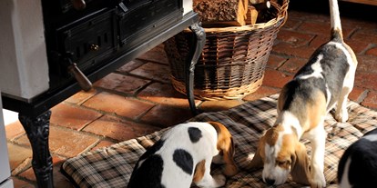 Hundehotel - Doggies: 2 Doggies - Rauris - Landgut Moserhof