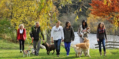 Hundehotel - Unterkunftsart: Ferienhaus - Großarl - Hunde dürfen sich frei bewegen - Landgut Moserhof