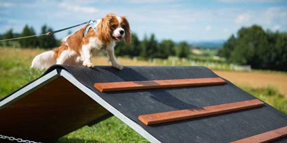 Hundehotel - Pools: Sportbecken - Fehring - Larimar-Agility-Parcours - Hotel & Spa Larimar****S