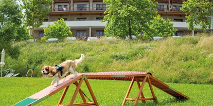 Hundehotel - Pools: Außenpool beheizt - Fehring - Urlaub mit Hund im Larimar - Hotel & Spa Larimar****S