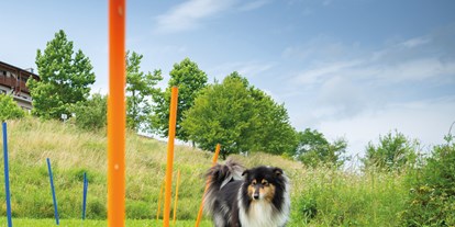 Hundehotel - Umgebungsschwerpunkt: Therme - Gnas - Hunde-Wellness- und Erlebnisbereich - Hotel & Spa Larimar****S