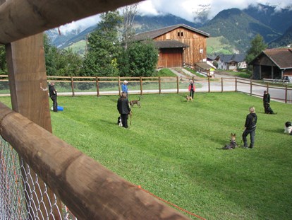 Hundehotel - Umgebungsschwerpunkt: Fluss - Flims Dorf - Eingezäunter Hundeplatz vor dem Hotel zum Spielen oder Trainieren. - Hotel Gravas Lodge