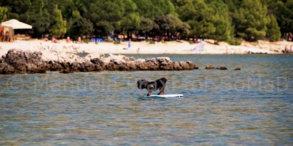 Hundehotel - Doggies: 2 Doggies - Dalmatien - Beach-Dog Max surft die Welle (500m vom Haus entfernt, großzügiger Strandabschnitt für die Vierbeiner)  - Olive House