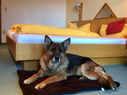 Hundehotel - Sauna - Zwiesel - Pension Sonnleit´n Ihr Urlaub mit Hund 