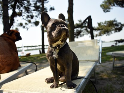 Hundehotel - Verpflegung: Halbpension - Ferrara - Feriendorf Spiaggia Romea
