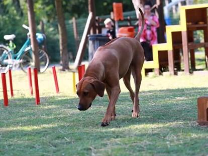 Hundehotel - Trink-/Fressnapf: an der Rezeption - Emilia Romagna - Feriendorf Spiaggia Romea
