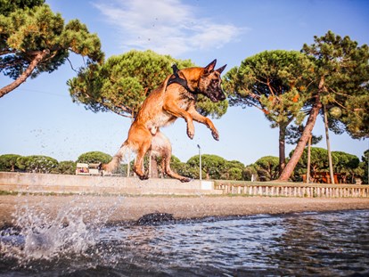 Hundehotel - Bademöglichkeit für Hunde - Ferrara - Feriendorf Spiaggia Romea
