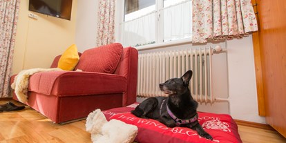 Hundehotel - keine Leinenpflicht im Hotel - Pinzgau - Pension Hubertus