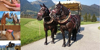Hundehotel - Umgebungsschwerpunkt: Berg - Tiroler Unterland - Reitangebot - Kutschenfahrten, Equilino-Ponyclub, Unterricht für Anfänger und Fortgeschrittene - Reitanlage & Ferienwohnungen Dagnhof