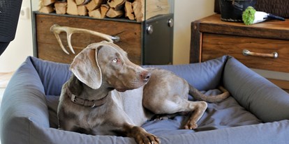 Hundehotel - Doggies: 3 Doggies - Dorfgastein - Urlaub mit Hund im Chalet - Luxuslodge - Zeit zum Leben