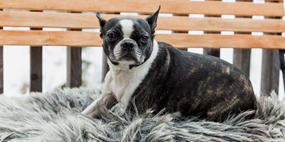 Hundehotel - Rauris - Luxuslodge - Zeit zum Leben