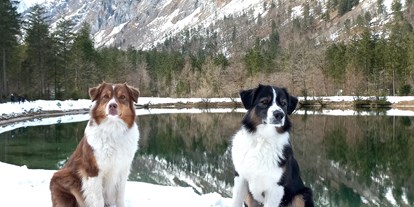 Hundehotel - WLAN - Flachau - Luxuslodge - Zeit zum Leben