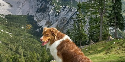 Hundehotel - Umgebungsschwerpunkt: Berg - Rauris - Luxuslodge - Zeit zum Leben