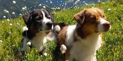 Hundehotel - Umgebungsschwerpunkt: Berg - Anif - Luxuslodge - Zeit zum Leben