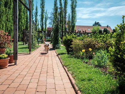 Hundehotel - Wellnessbereich - Fehring - Hund im Garten - Das Eisenberg