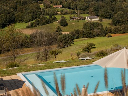 Hundehotel - Burgenland - Panorama Pool  - Das Eisenberg