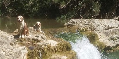 Hundehotel - Verpflegung: Frühstück - Cima di Porlezza - Hund in Fluss  Nahe - Campo di Carlo
