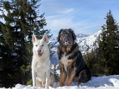 Hundehotel - Umgebungsschwerpunkt: Berg - Ellmau - Puradies Naturresort
