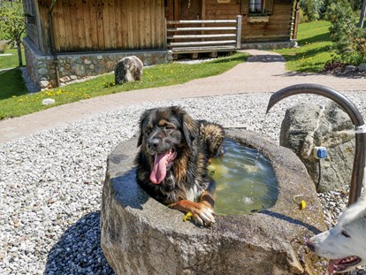 Hundehotel - Maishofen - Puradies Naturresort