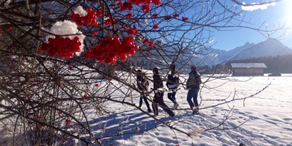 Hundehotel - Award-Gewinner - Faschina - Hunde-Spaziergang mit Blick auf die Allgäuer Schnee-Berge - Das BERGESGRÜN