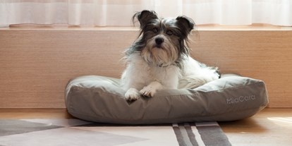 Hundehotel - barrierefrei - Wien-Stadt - The Guesthouse Vienna