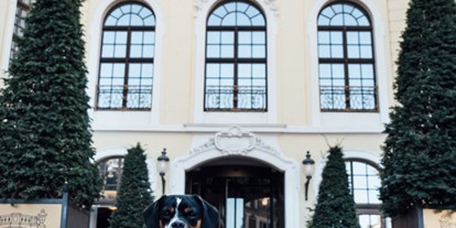 Hundehotel - Klassifizierung: 5 Sterne S - Dresden - Hotel Taschenbergpalais Kempinski Dresden