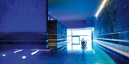 Hundehotel - Pools: Infinity Pool - Tiroler Unterland - Felsenbecken im Schwarzbrunn - Hotel Schwarzbrunn