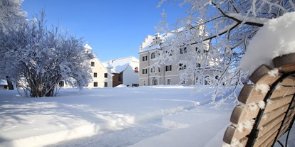 Hundehotel - Hallenbad - Murtal - Winter im Schlosspark - Hotel G´Schlössl Murtal