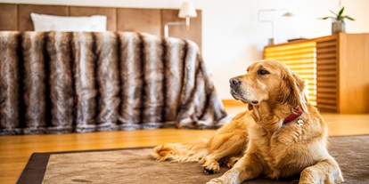 Hundehotel - keine Leinenpflicht im Hotel - Preitenegg - Hotel G´Schlössl Murtal