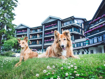 Hundehotel - Österreich - Unser Garten - Alpin Resort Sacher